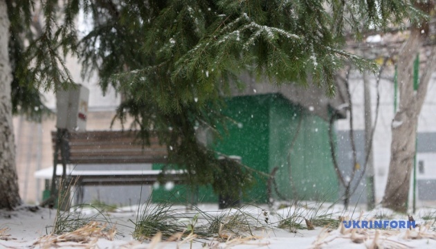 Первый снег в Киеве / Фото Анатолий Сирык Укринформ